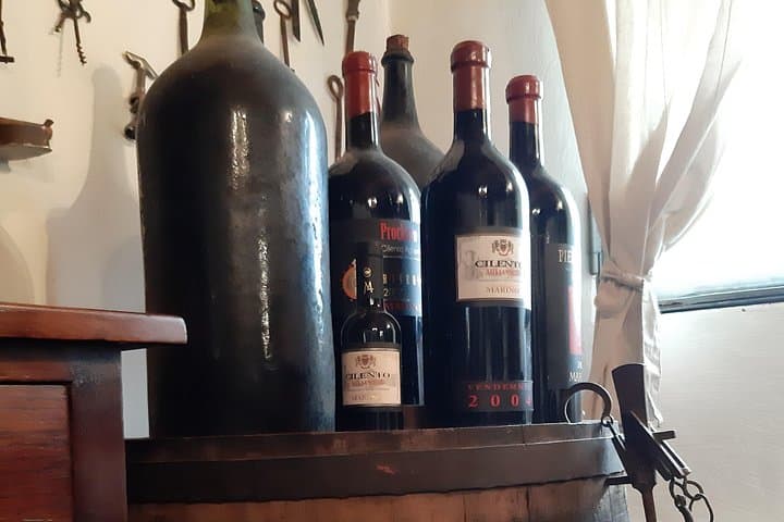 From Naples Paestum Temples Mozzarella Farm Wine Tasting, lunch