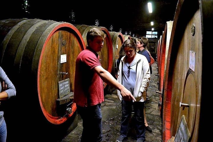 Discover how Chianti Rufina is being produced