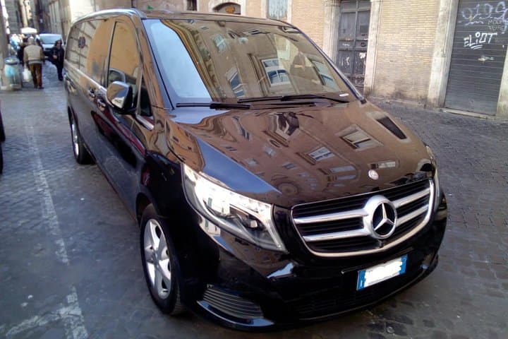 MERCEDES VIANO