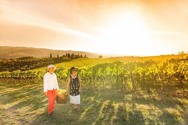 Wine experience Bologna hills