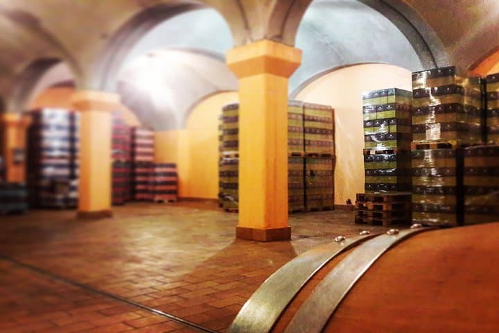 Tour in the Winery and tasting