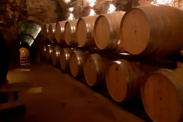 Montepulciano Historical Cellar
(original photo of our tours)
