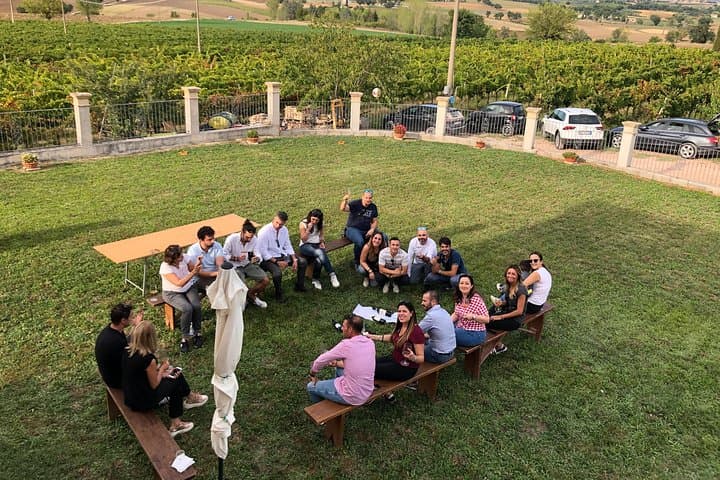 Private Wine Tour with a Sommelier from Assisi - dinner included in Montefalco