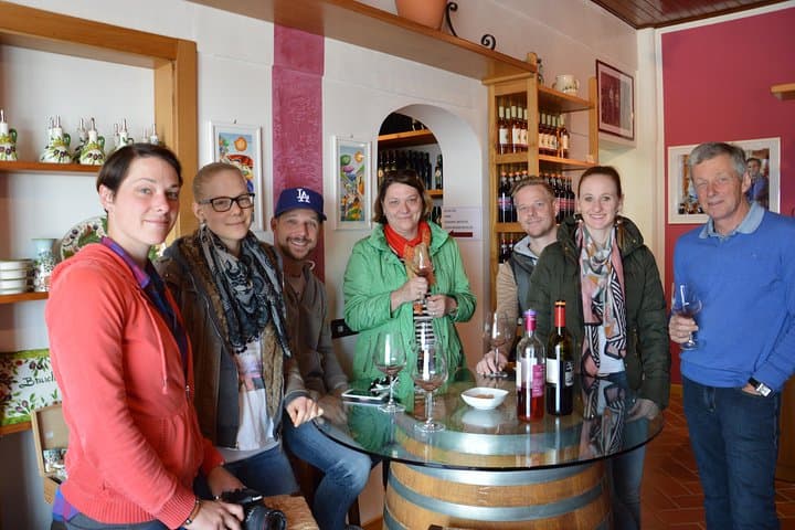 4 WINES TASTING in a Chianti Classico Farm (Visit/tour at the winery included)