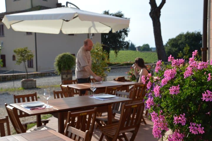 4 WINES TASTING in a Chianti Classico Farm (Visit/tour at the winery included)