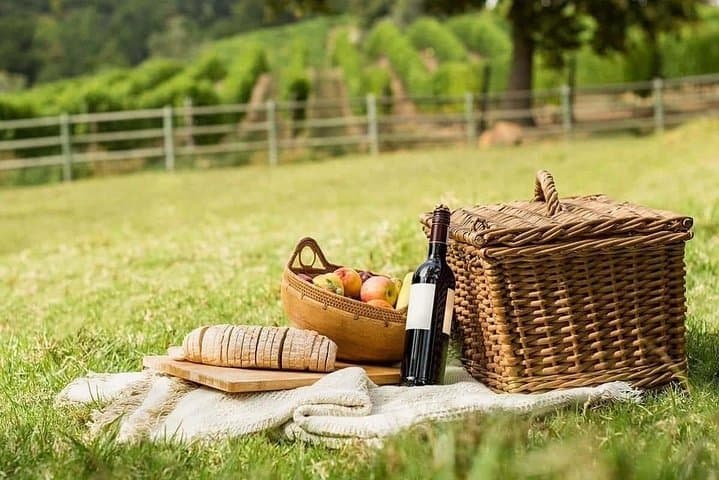 The basket with a bottle of wine, typical products and cheeses