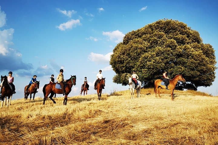 Horsebackriding - explore Tuscan nature