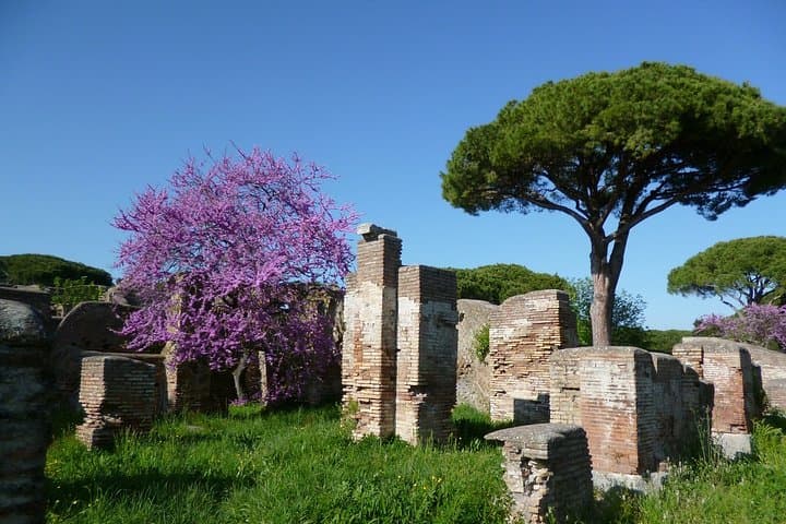 All-included Guided Tour of Ancient Ostia from Rome with Hotel Pickup & Drop Off