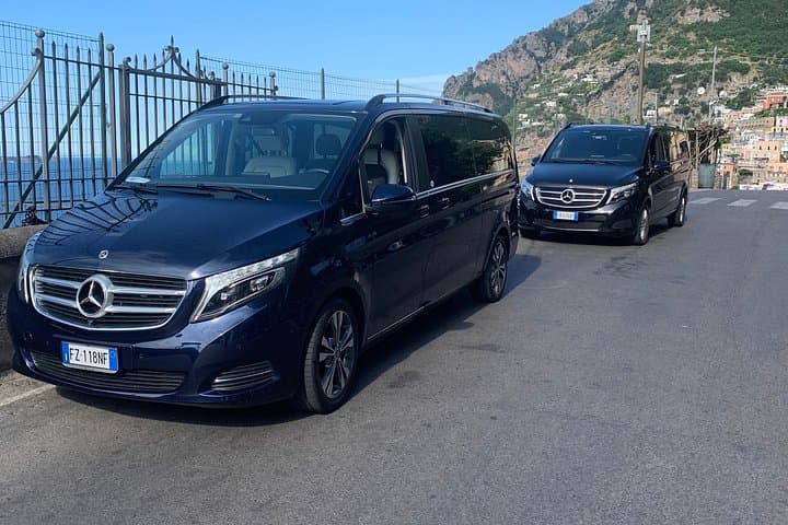 mercedes fleets