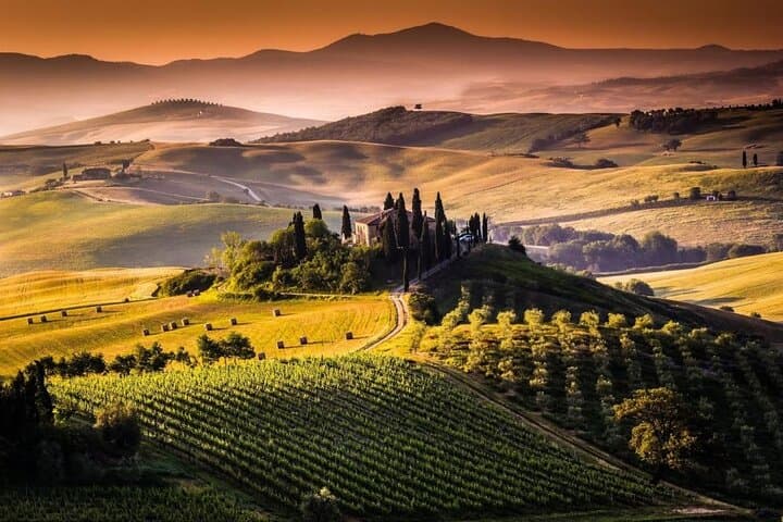 Bella Toscana Private Tour: 2 Chianti Wineries and San Gimignano From Livorno