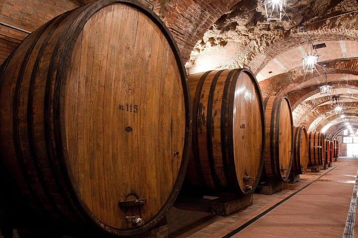 Montepulciano: Wine Tasting & Lunch in a typical winery