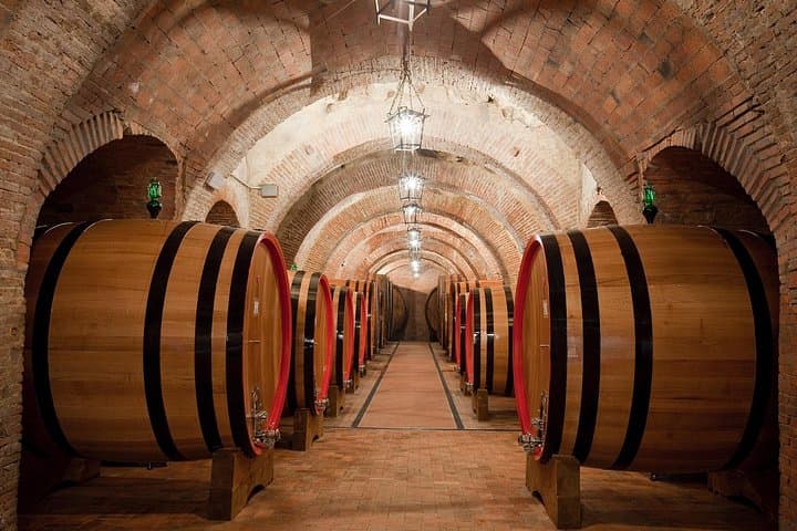 Montepulciano: Wine Tasting & Lunch in a typical winery