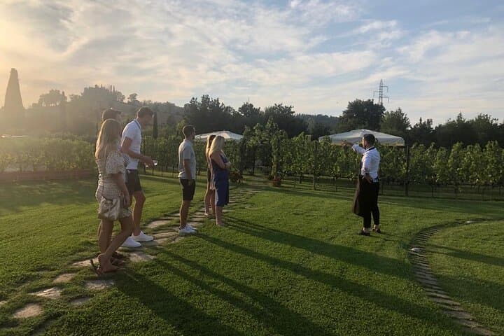 Chianti wine tasting at the sunser