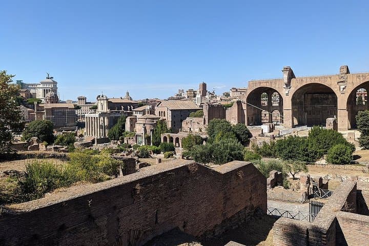 Rome: Skip the Line Tickets: Roman Forum and Palatine Hill