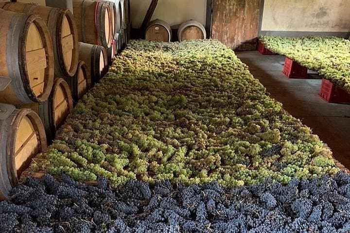 Chianti tour and Vin Santo ( Holy wine! )
