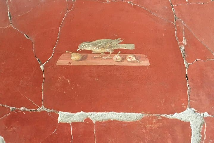 Guided tour of Pompeii
