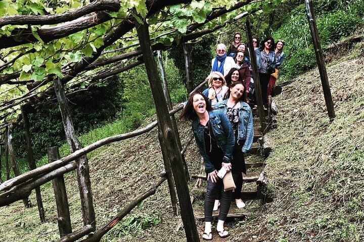 Amalfi coast private tour with Amalfi Ravello and Wine Tour from Positano
