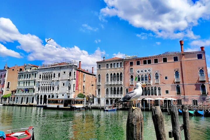 Rialto Market & Seafood Cooking Class in Murano