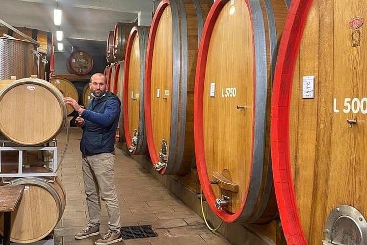Barolo&Barbaresco Wine Experience with a Local Winemaker / Torino