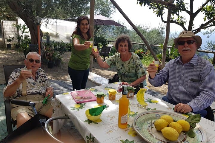 Discovery Tour of Sorrento Lemon in Massa Lubrense