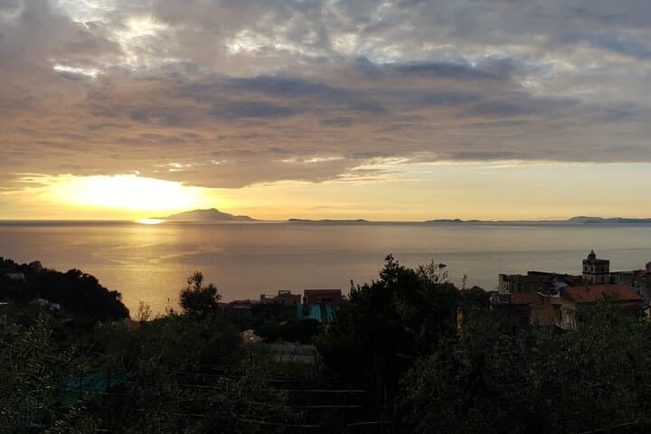 Discovery Tour of Sorrento Lemon in Massa Lubrense