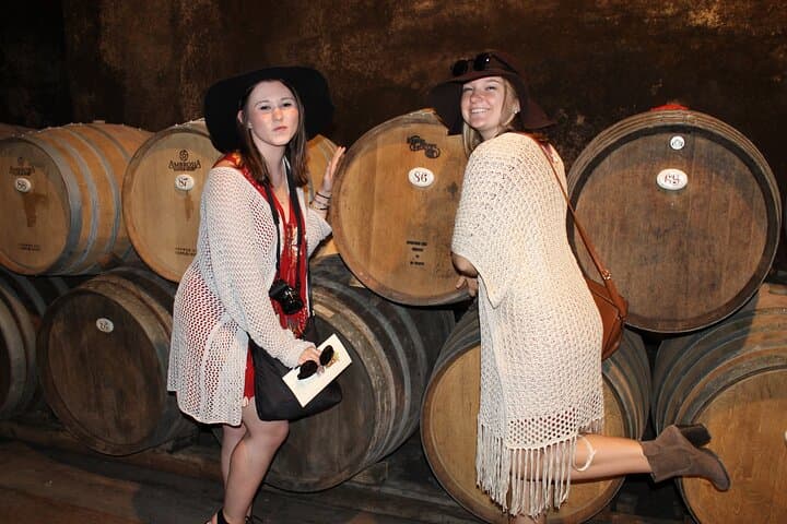 Half-day Chianti Classico Wine tour from Florence - Small Group