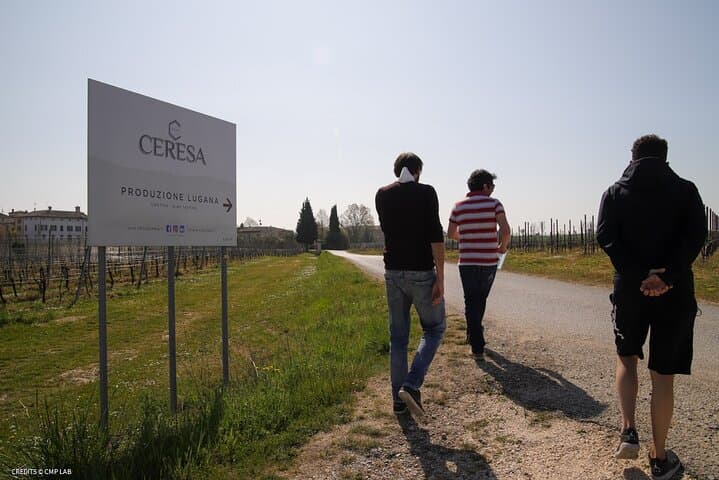 Vineyard Tour and Tasting of Lugana Wines