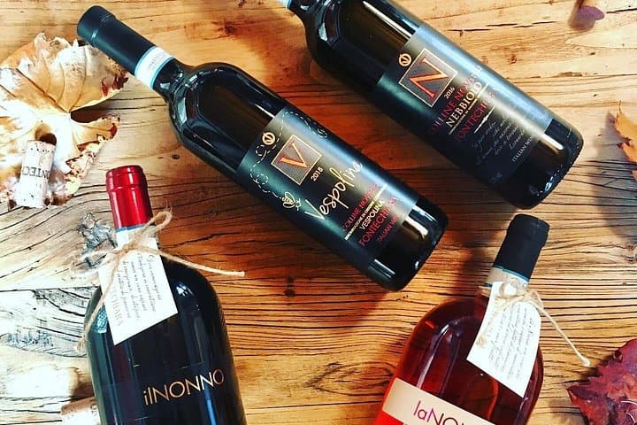 Visit and tasting of 3 D.O.C.wines Fontechiara