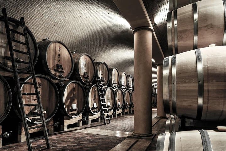 Vineyard Tour with Light Lunch in Valpolicella