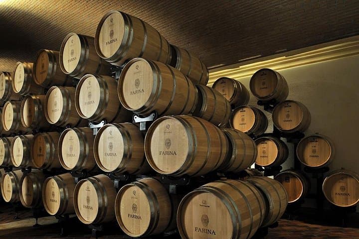 Vineyard Tour with Light Lunch in Valpolicella
