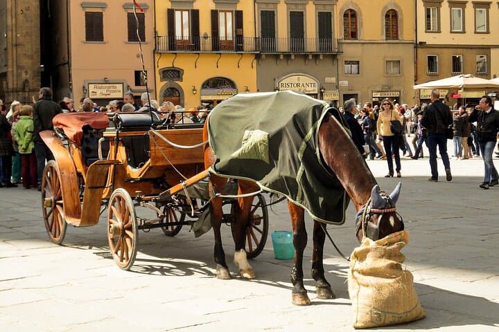 Private Florence Tour: 3-Hour Walking Tour with a Licenced Guide