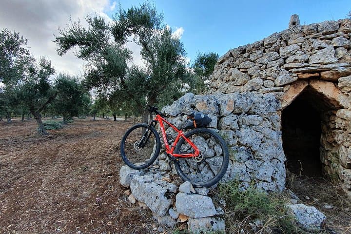 Bike Tour in the Alta Murgia National Park (Pulo of Altamura)