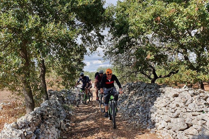Bike Tour in the Alta Murgia National Park (Pulo of Altamura)