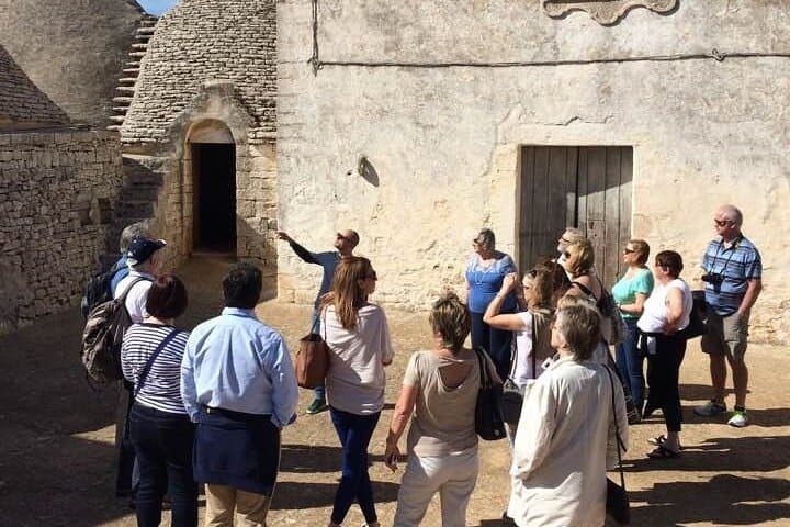 Guided tour through the vineyards with local wine tasting