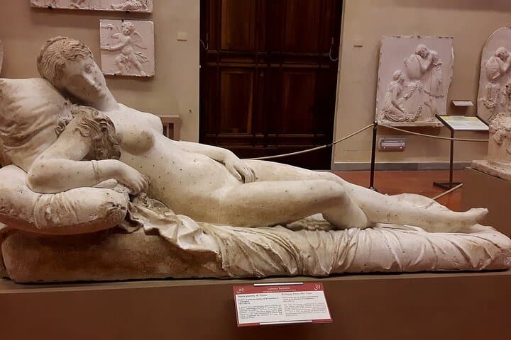 Accademia Gallery Timed Entry Ticket with Audio Guide