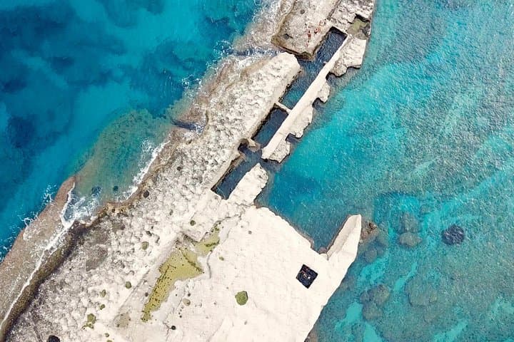 Murenario