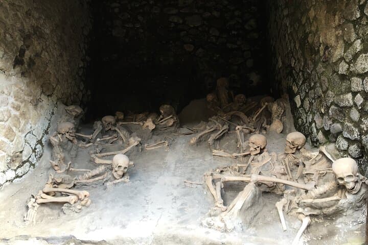 Guided tour of Herculaneum