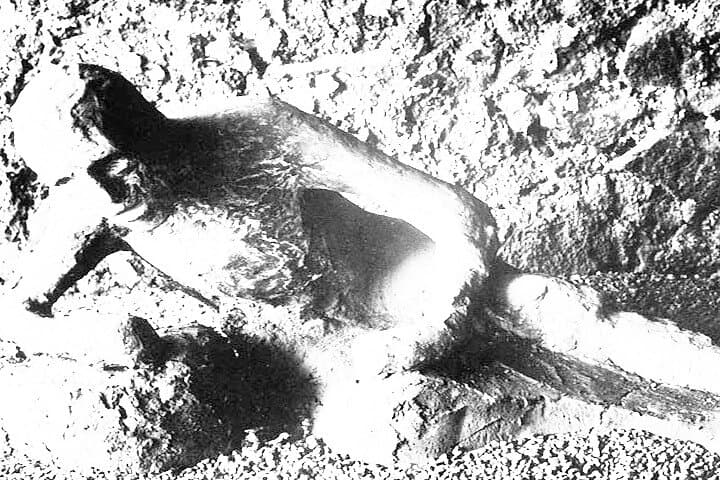 Bodies in Pompeii