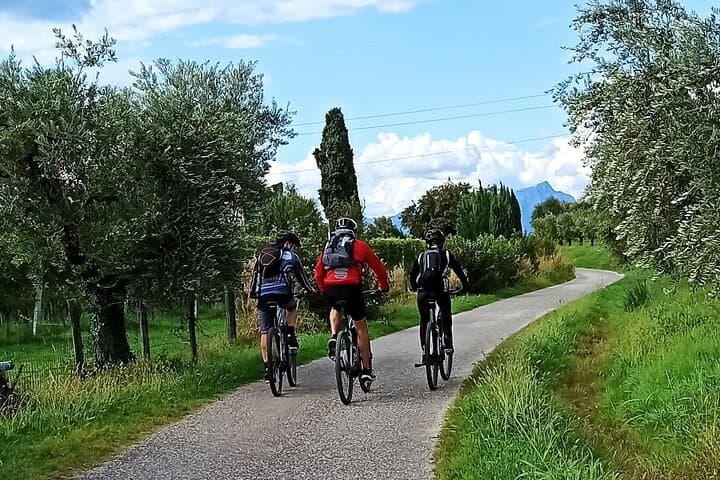E-Bike Tour and Wine Tasting from Bardolino
