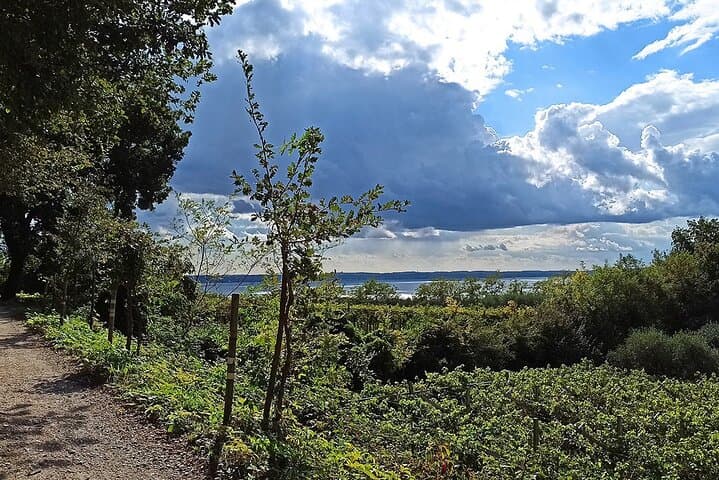 E-Bike Tour and Wine Tasting from Bardolino