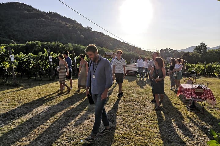 Tasting in a Tuscan Vineyard with transfer from Lucca