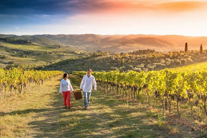 Grape Stomping and Wine Tasting in Tuscany