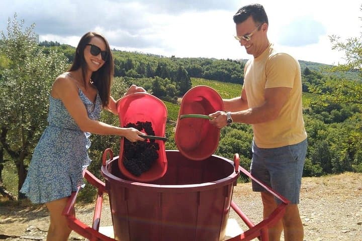 Grape Stomping and Wine Tasting in Tuscany