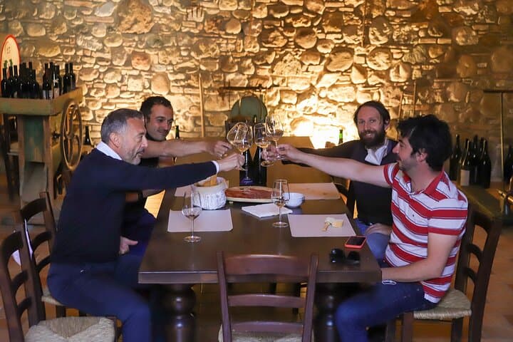 Vineyard Tour and Tasting of Lugana Wines