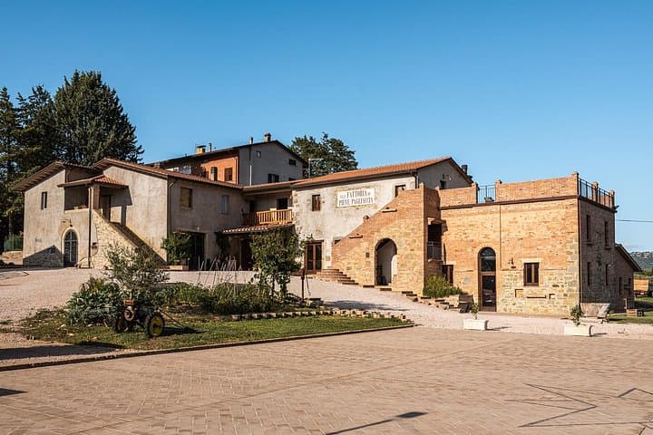 Private visit to the Brugnoni winery with tasting of 4 wines