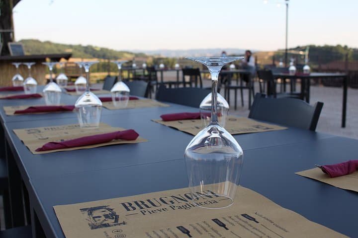 Private visit to the Brugnoni winery with tasting of 4 wines