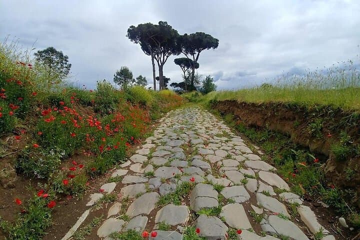 The ancient aqueducts of Rome