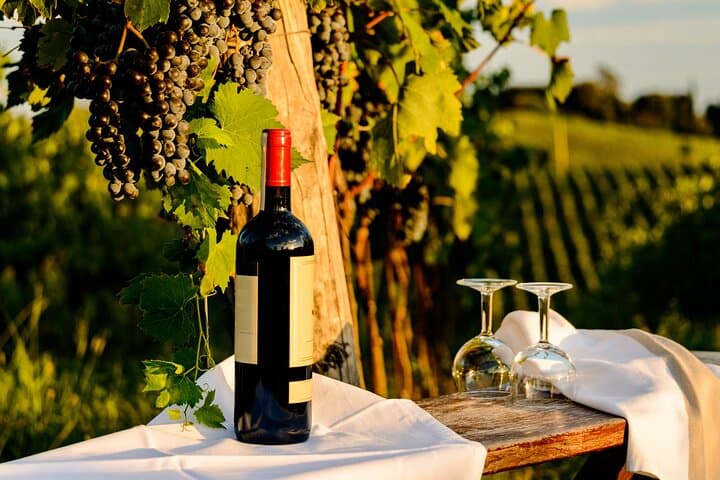 From Bologna: Chianti wine Experience with lunch