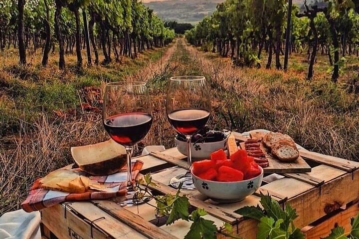 From Bologna: Chianti wine Experience with lunch