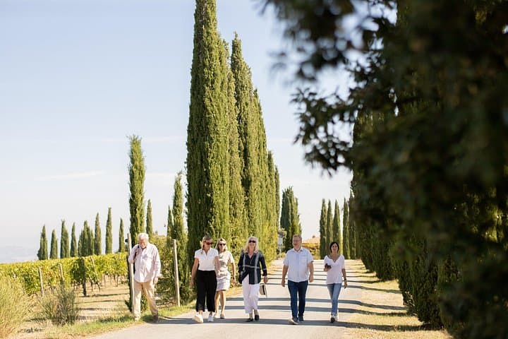 Winery Tour & Gourmet Tasting in Montalcino